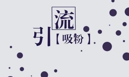 保險理財企業做代運營業務可以選擇什么樣的公司？   