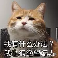 微商文案猖狂？其實他們才是真正的文案天才！ 